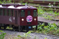 IMGP8903