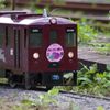 IMGP8903