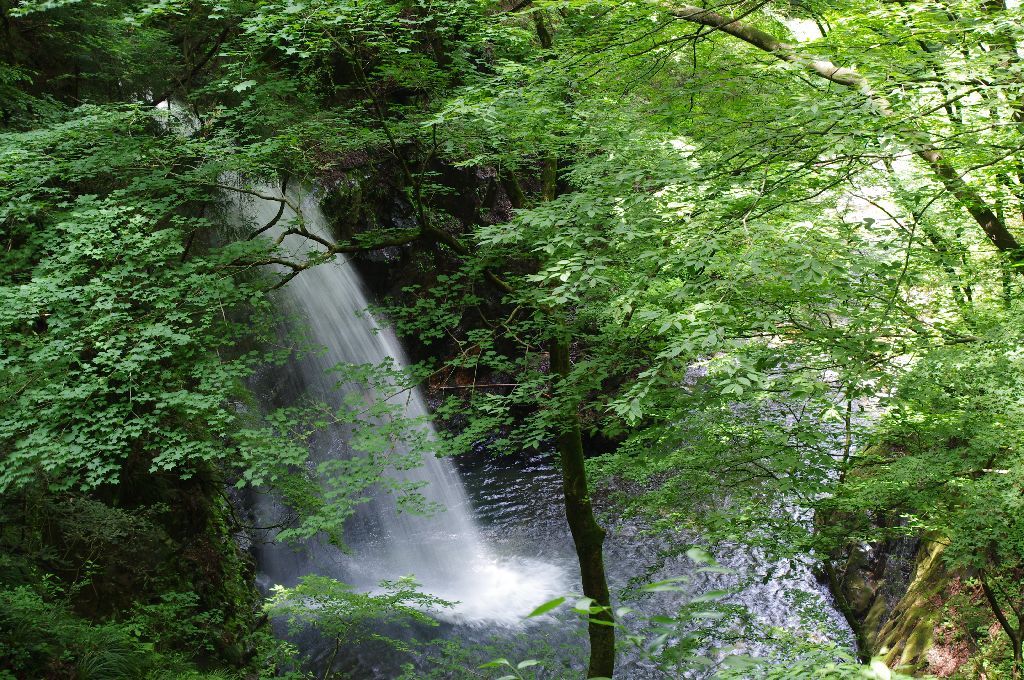 不動の滝　IMGP7930