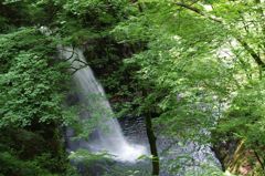 不動の滝 IMGP7930