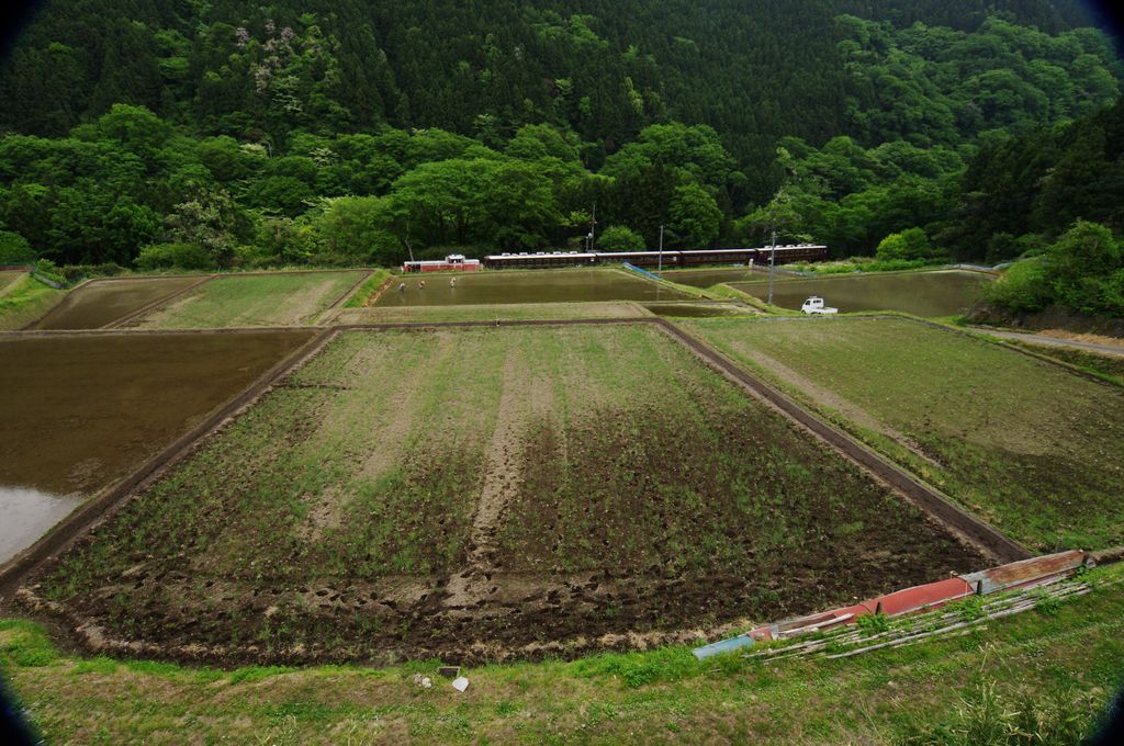 棚田を行く
