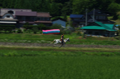 試し