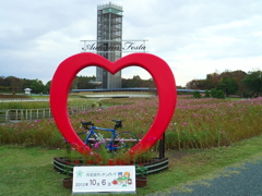 DSCF1632-1