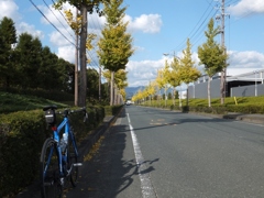 DSCF0262 (1024x768)