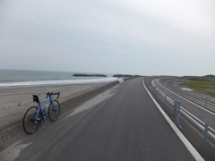 海