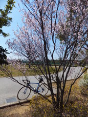 DSCF0875