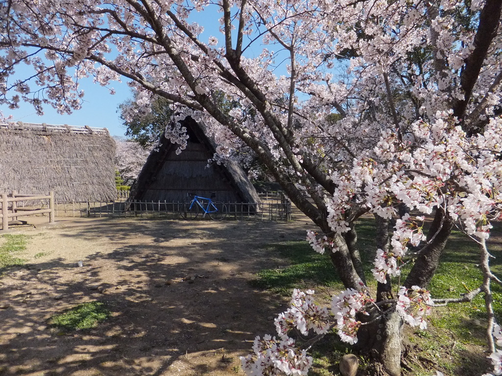 蜆塚遺跡