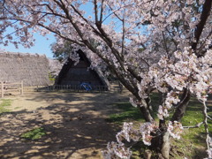 蜆塚遺跡