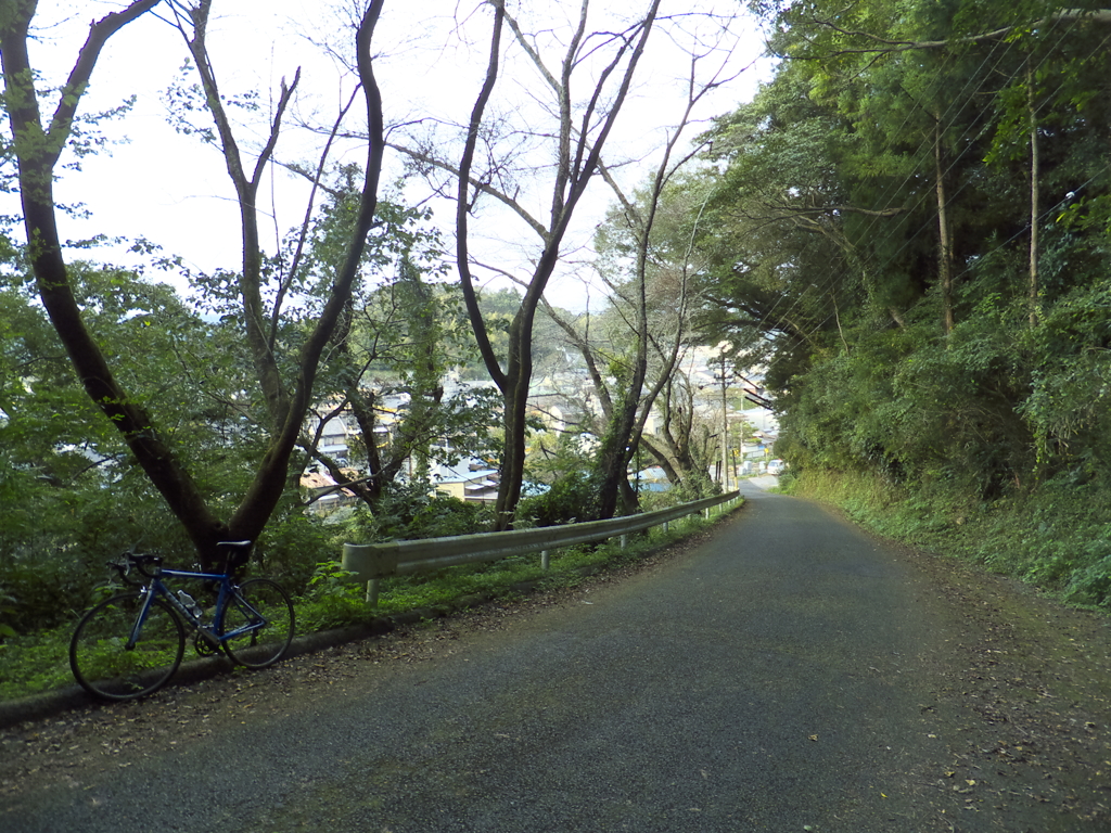 鳥羽山公園