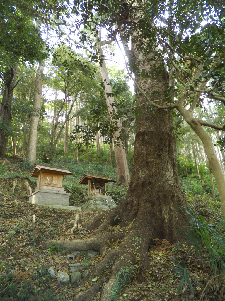 渡ヶ島諏訪神社