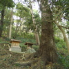 渡ヶ島諏訪神社