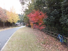 DSCF0318 (1024x768)