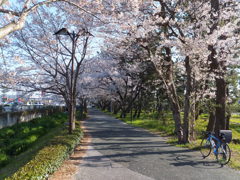 DSCF0990