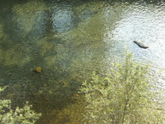 DSCF1741-1