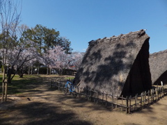 蜆塚遺跡