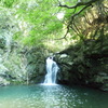 仙巌の滝