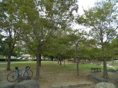 DSCF1790-1