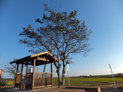 廃線跡