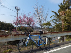 うめ