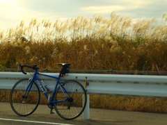 DSCF1588-1