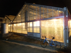 DSCF1404