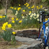 Garden park