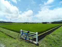 DSCF1295-1