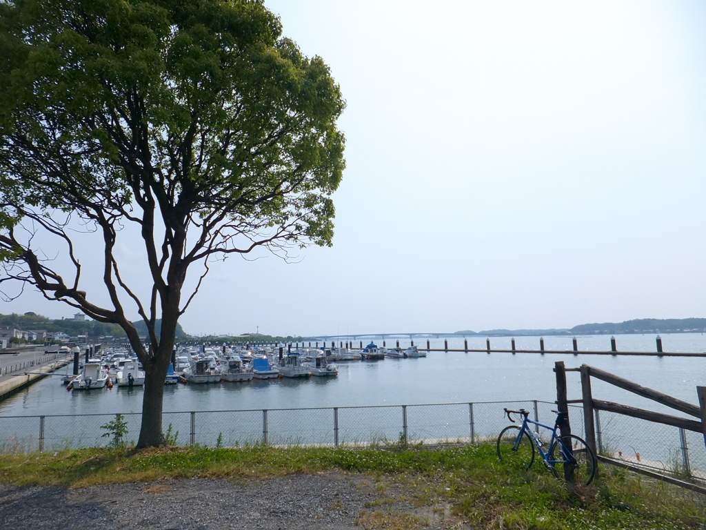DSCF1154-2