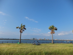 DSCF1208