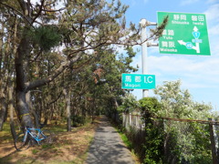DSCF1163
