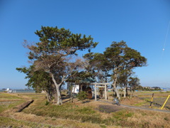 田んぼの真中
