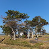 田んぼの真中