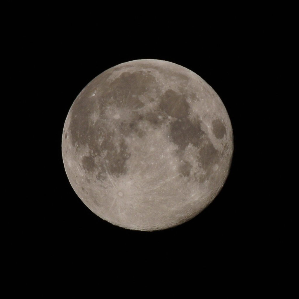 fullmoon トリミング