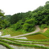 棚田