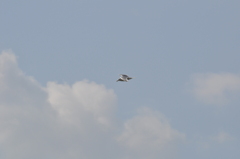空と