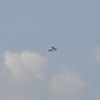 空と