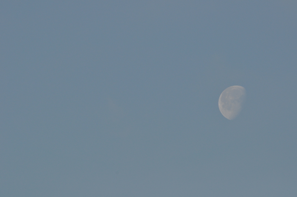 morning moon
