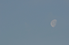 morning moon