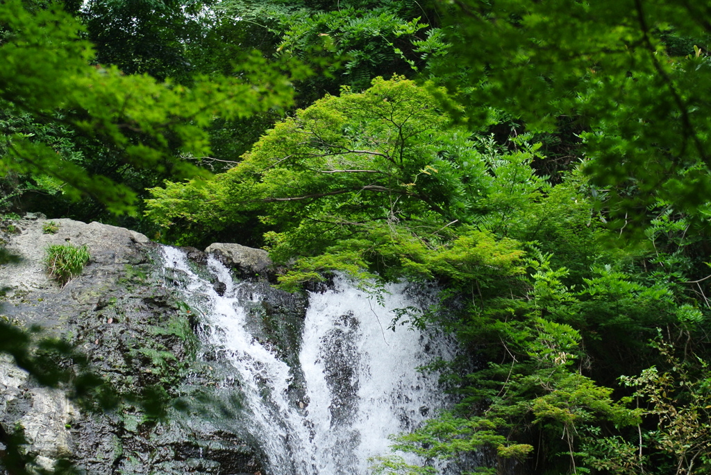 箕面の滝 落ち口アップ