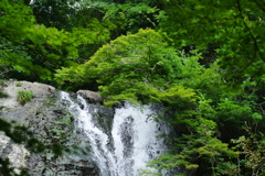 箕面の滝 落ち口アップ
