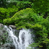 箕面の滝 落ち口アップ