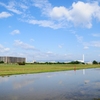 雨上がり