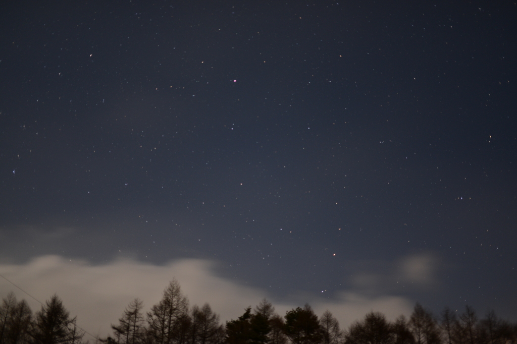 D800 SIGMA f1.4 50mm 単焦点