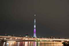 skytree