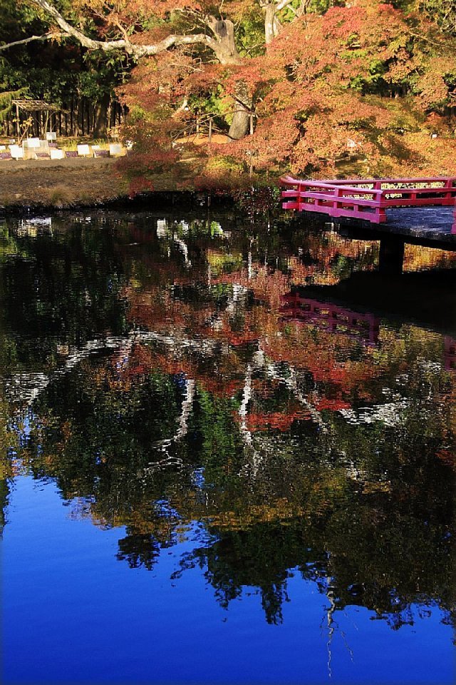水面の紅葉
