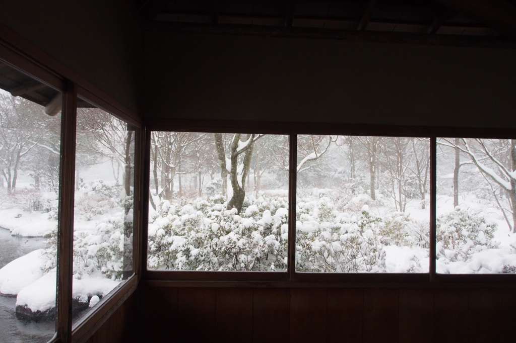 窓と雪、あとは熱燗あればよし