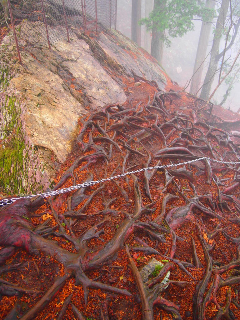 201204 御岳山