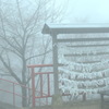 201204 116