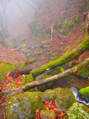 201204 御岳山