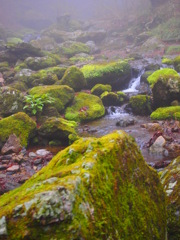 201204 御岳山